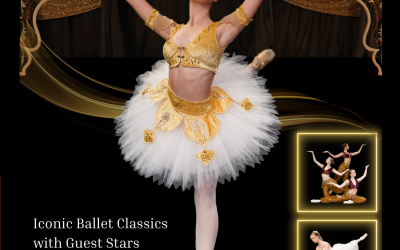 Ballet Vyne Summer Gala – Bayadere